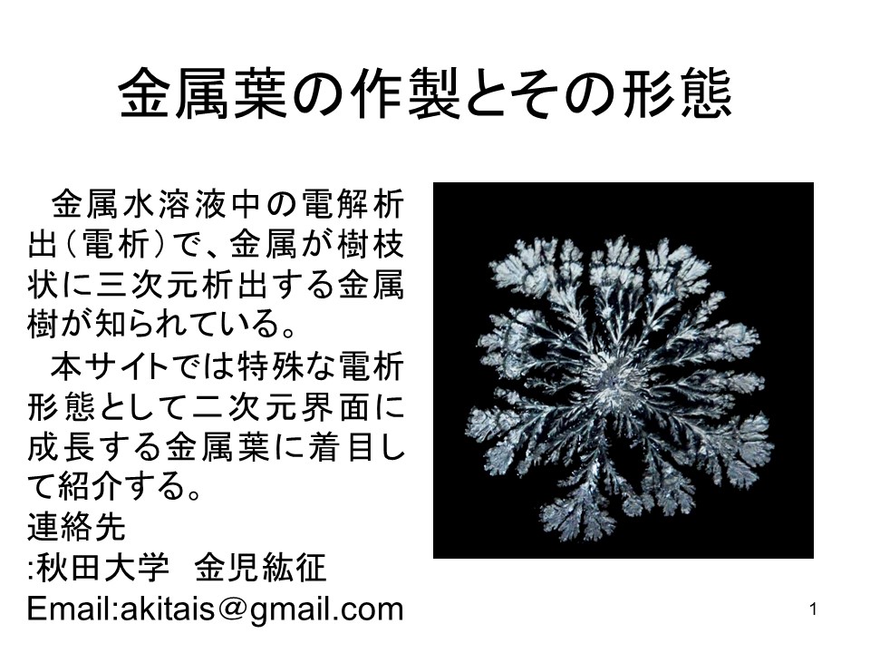 画像1