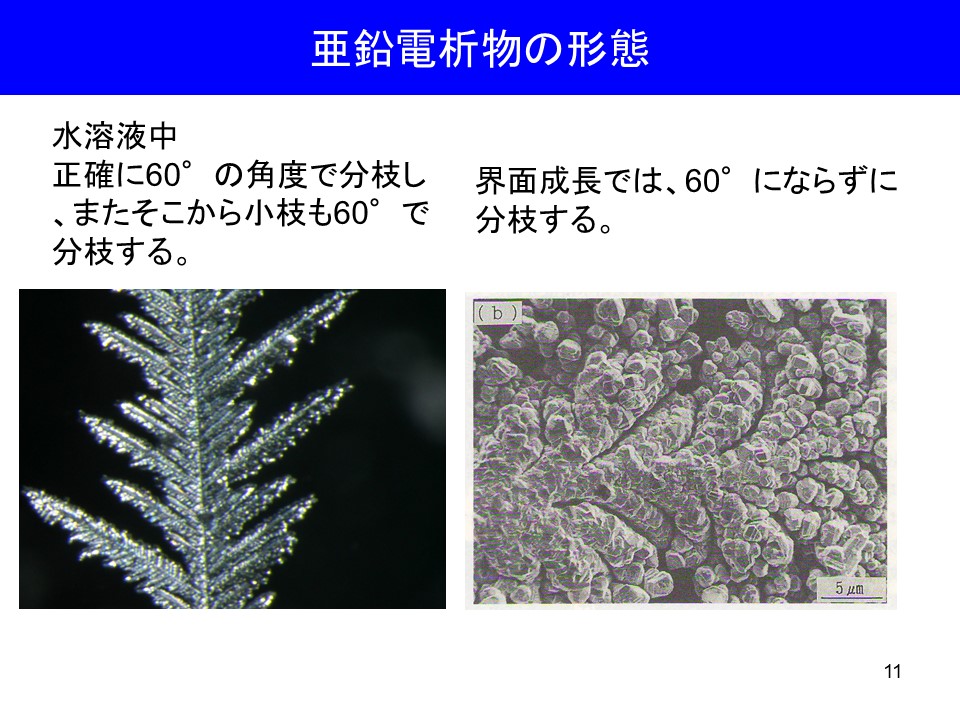 画像11