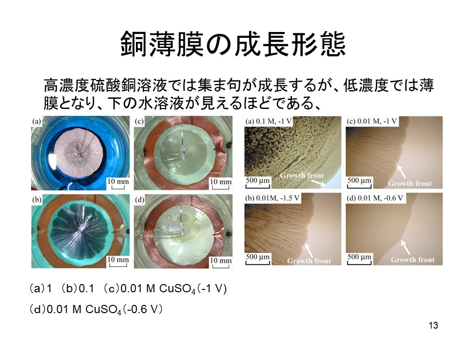 画像13