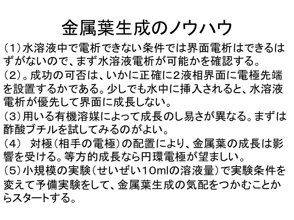 画像15