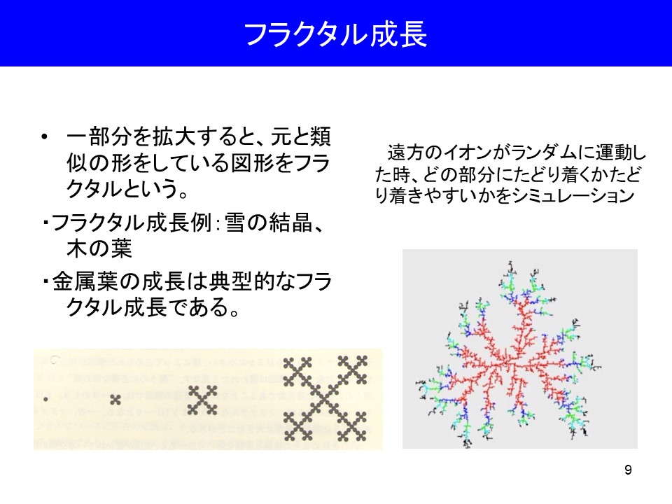 画像9